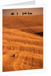 Bales in Rolling Fields by Anonymous