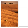 Bales in Rolling Fields by Anonymous