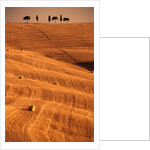 Bales in Rolling Fields by Anonymous