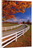 White Wooden Fence Along Farm by Anonymous