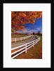 White Wooden Fence Along Farm by Anonymous