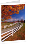 White Wooden Fence Along Farm by Anonymous