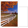 White Wooden Fence Along Farm by Anonymous