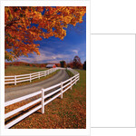White Wooden Fence Along Farm by Anonymous
