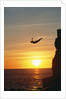 Cliff Diver Above Setting Sun by Anonymous