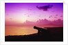 Lone Brimstone Hill Fortress Cannon at Sunset by Anonymous