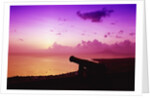Lone Brimstone Hill Fortress Cannon at Sunset by Anonymous