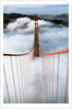 Golden Gate Bridge Wrapped in Fog by Corbis