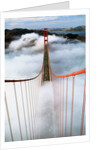 Golden Gate Bridge Wrapped in Fog by Anonymous