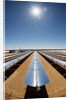 Technician at Solar Power Plant by Anonymous
