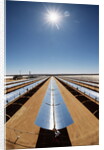 Technician at Solar Power Plant by Anonymous