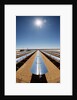 Technician at Solar Power Plant by Anonymous