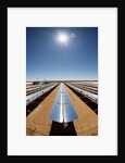 Technician at Solar Power Plant by Anonymous