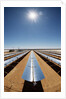 Technician at Solar Power Plant by Anonymous
