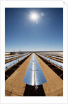 Technician at Solar Power Plant by Anonymous