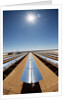 Technician at Solar Power Plant by Anonymous