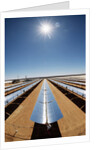 Technician at Solar Power Plant by Anonymous
