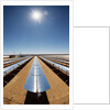 Technician at Solar Power Plant by Anonymous