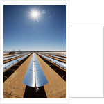 Technician at Solar Power Plant by Anonymous