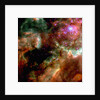 Cluster in Large Magellanic Cloud by Anonymous