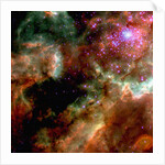 Cluster in Large Magellanic Cloud by Anonymous