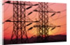 Sunset Behind Electrical Towers by Anonymous