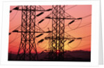 Sunset Behind Electrical Towers by Anonymous