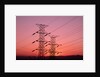 Sunset Behind Electrical Towers by Anonymous