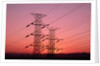 Sunset Behind Electrical Towers by Anonymous