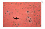 Jet Shadow on a Desert by Anonymous