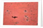 Jet Shadow on a Desert by Anonymous