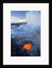 Volcanic Skylight Near Kilauea by Anonymous