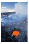 Volcanic Skylight Near Kilauea by Anonymous