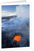 Volcanic Skylight Near Kilauea by Anonymous
