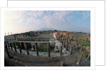 Pompeii and Vesuvius by Anonymous