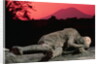 Cast of Pompeiian Victim of Mount Vesuvius by Anonymous