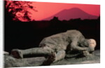 Cast of Pompeiian Victim of Mount Vesuvius by Anonymous