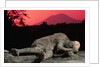 Cast of Pompeiian Victim of Mount Vesuvius by Anonymous