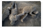 Bodies in Pompeii by Anonymous