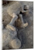 Bodies in Pompeii by Anonymous