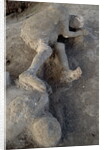 Bodies in Pompeii by Anonymous