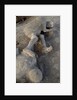 Bodies in Pompeii by Anonymous