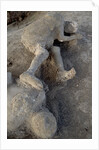 Bodies in Pompeii by Anonymous