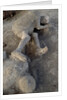 Bodies in Pompeii by Anonymous