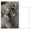 Bodies in Pompeii by Anonymous