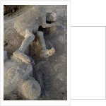 Bodies in Pompeii by Anonymous