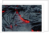 Cooling Lava in Hawaii by Anonymous