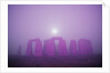Moon Setting Over Stonehenge by Anonymous