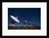Radio Telescope Array in the Moonlight by Anonymous