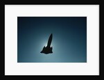 SR-71 in Flight by Anonymous